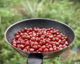Hình bước làm 4 của món Mứt Chùm Ruột