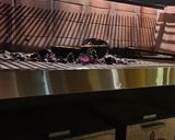 Foto del paso 7 de la receta: Fondue de zapallo Cabutia a la parrilla asados