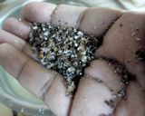 A picture of step 2 of Suji halwa.