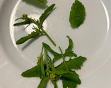 Foto del passaggio 1 della ricetta Insalata di erbe ed albedo