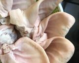 Hình bước làm 1 của món Tai heo ngâm nước mắm