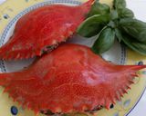 Foto del passaggio 3 della ricetta Pennoni rigati con salsa al "granchio blu"