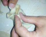 A picture of step 4 of Wontons.