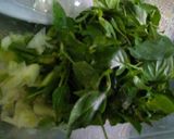 Foto langkah ke 4 dari resep Tumis Daun Pepaya Jepang Ikan Roa.