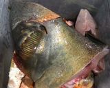 Foto langkah ke 1 dari resep 543. Ikan Bawal Kuah Timun (Kuah Merah) #UntukIbuDariDapurku.