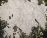 Foto del paso 5 de la receta: Lasaña de espinacas y ricotta