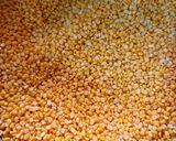 A picture of step 1 of Moong Dal Khichdi.