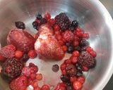 Foto del paso 2 de la receta: Salsa de frutos rojos (para magret de pato o queso brie)