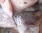 Foto langkah ke 2 dari resep Sup ikan Gurame Kemangi.