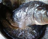 Foto langkah ke 1 dari resep Pesmol Ikan Mas bumbu acar.