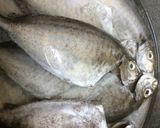 A picture of step 2 of Rabbit fish curry / safi fish.