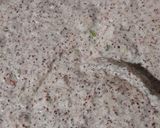 A picture of step 8 of Whole Ragi Masala Appe.