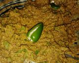 লাউ পাতায় ডিমের পাতুরি lau patay dimer paturi recipe in Bengali ) রেসিপির ধাপ 2 ছবি