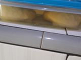 Martabak telor anti gagal