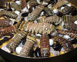 Foto del paso 18 de la receta: Paella mixta Sonorense