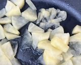燉煮蘋果泥 (適合胃在修復期食用) (簡單版)的食譜步驟2照片