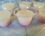 Foto langkah ke 4 dari resep Puding ceria.