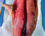 Foto del paso 10 de la receta: Lomo de bonito marinado en sal granulada y fish masala