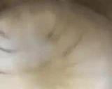 Une image de l'étape 5 de 🍰Melon 🍈 fait du tiramisu🍧.