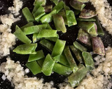 Foto del paso 8 de la receta: Arroz en paella 🥘 o sartén, con paletilla de cordero