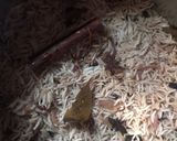 Cinnamon ricematakin girki3 hoto