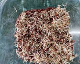 A picture of step 2 of Ragi Sprouts, Fresh Coconut, Jaggery Sweets.