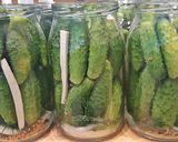 Csemegeuborka recept fázis 2 fotója