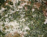 मेथी पूरी (Methi Puri recipe in Hindi) रेसिपी चरण 1 फोटो