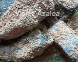 Foto langkah ke 1 dari resep Wadi Patin Goreng ala Violet Azalea.