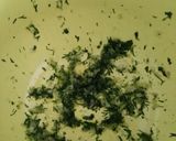 Foto del paso 2 de la receta: Atún marinado