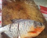 Foto del paso 1 de la receta: Enchipado de paco 🐠 en la selva
