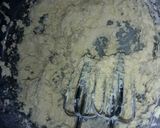 Foto del paso 2 de la receta: Pepas fáciles