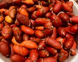 Foto langkah ke 1 dari resep Oseng Kulit Melinjo Merah.