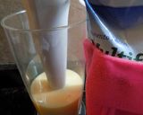 Foto del paso 6 de la receta: Heladitos naturales de melon al jenjibre y leche de coco