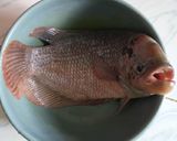 Foto langkah ke 1 dari resep Gurame asam manis.