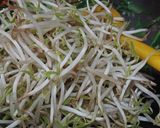 Foto langkah ke 4 dari resep Tumis Taoge Kucai.