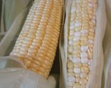 A picture of step 1 of Succotash Labor Day 2020.