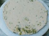 Spicy sprout moong parantha