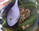 Foto del paso 2 de la receta: Chiles rellenos para cuaresma