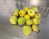 Une image de l'étape 1 de Compote de coings du Japon et pommes à la vanille.