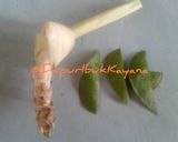 Foto langkah ke 2 dari resep 97 Timun Wortel Telur Puyuh Bumbu Acar Kuning.