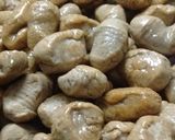 Foto del paso 7 de la receta: Borrachitos / Turdelli