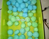 Foto langkah ke 2 dari resep Es Capucino (pearl Bubble).