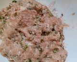 A picture of step 1 of Street Style Tawa kabab.