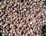 Foto langkah ke 1 dari resep Sate Ayam Bumbu Kacang.