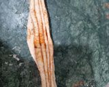 A picture of step 2 of Masala Laccha Paratha.
