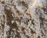A picture of step 3 of Jain Kadhi (without onion garlic dinner recipe).