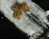 A picture of step 6 of Chhunchi patra pitha.