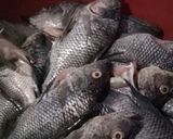 Foto langkah ke 1 dari resep SEMUR IKAN MUJAIR WARISAN (alhm) IBUQw.