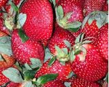 Strawberry jammatakin girki1 hoto